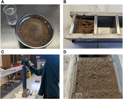 Effects on the compressive strength of cement-stabilized rammed earth blocks with varied content of buffelgrass-based fibers in wet-dry conditions